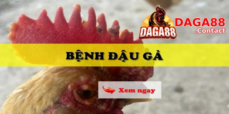 Bệnh đậu gà, tìm hiểu tổng quan