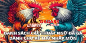 Thuật ngữ về các loại chiến kê