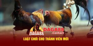 Hiểu rõ luật và cách chơi