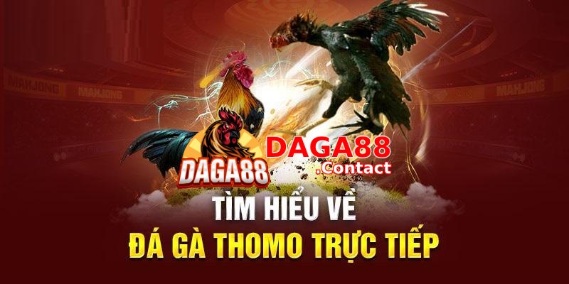 Nguồn gốc của đá gà Thomo