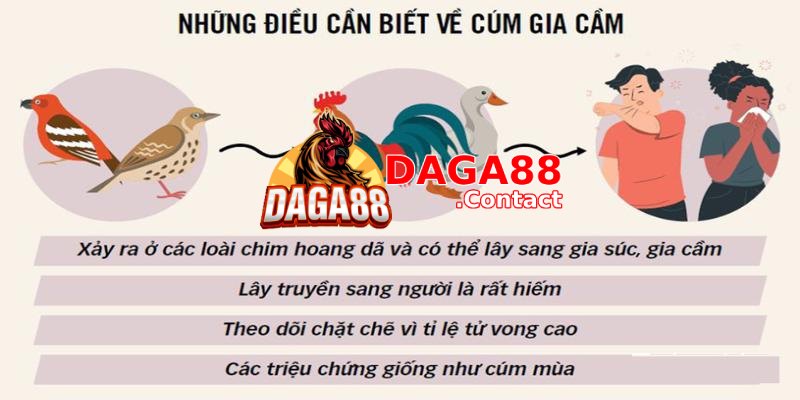 Nguyên nhân gây bệnh cúm gà