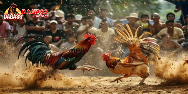 Các Trò Chơi "Đỉnh Cao" Được Yêu Thích Tại Alo789