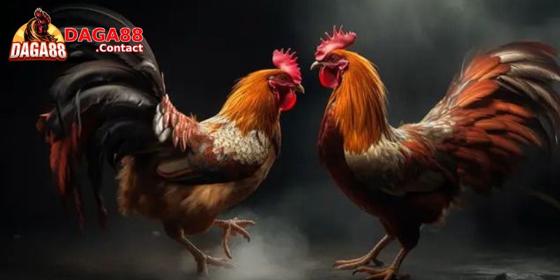 Làm Thế Nào Để Đăng Ký Alo789?