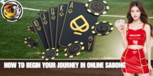How to Begin Your Journey in Online Sabong