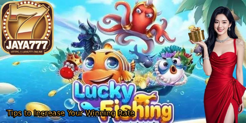 Tips-to-Increase-Your-Winning-Rate